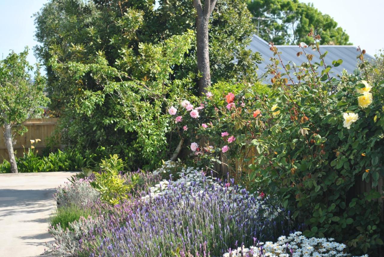 Wai O Taiki Bay B&B Auckland Exterior foto